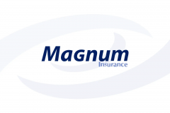 Magnum Insurance Website & User Cabinet